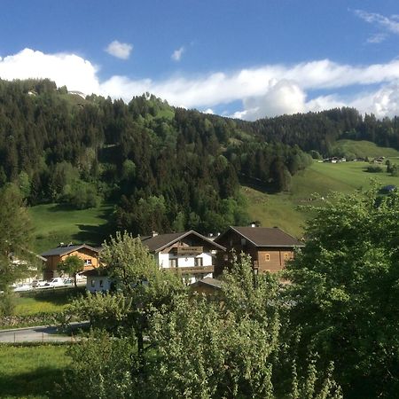 Kitzbuheler Alpen Penthouse Hollersbach Appartement Hollersbach im Pinzgau Buitenkant foto