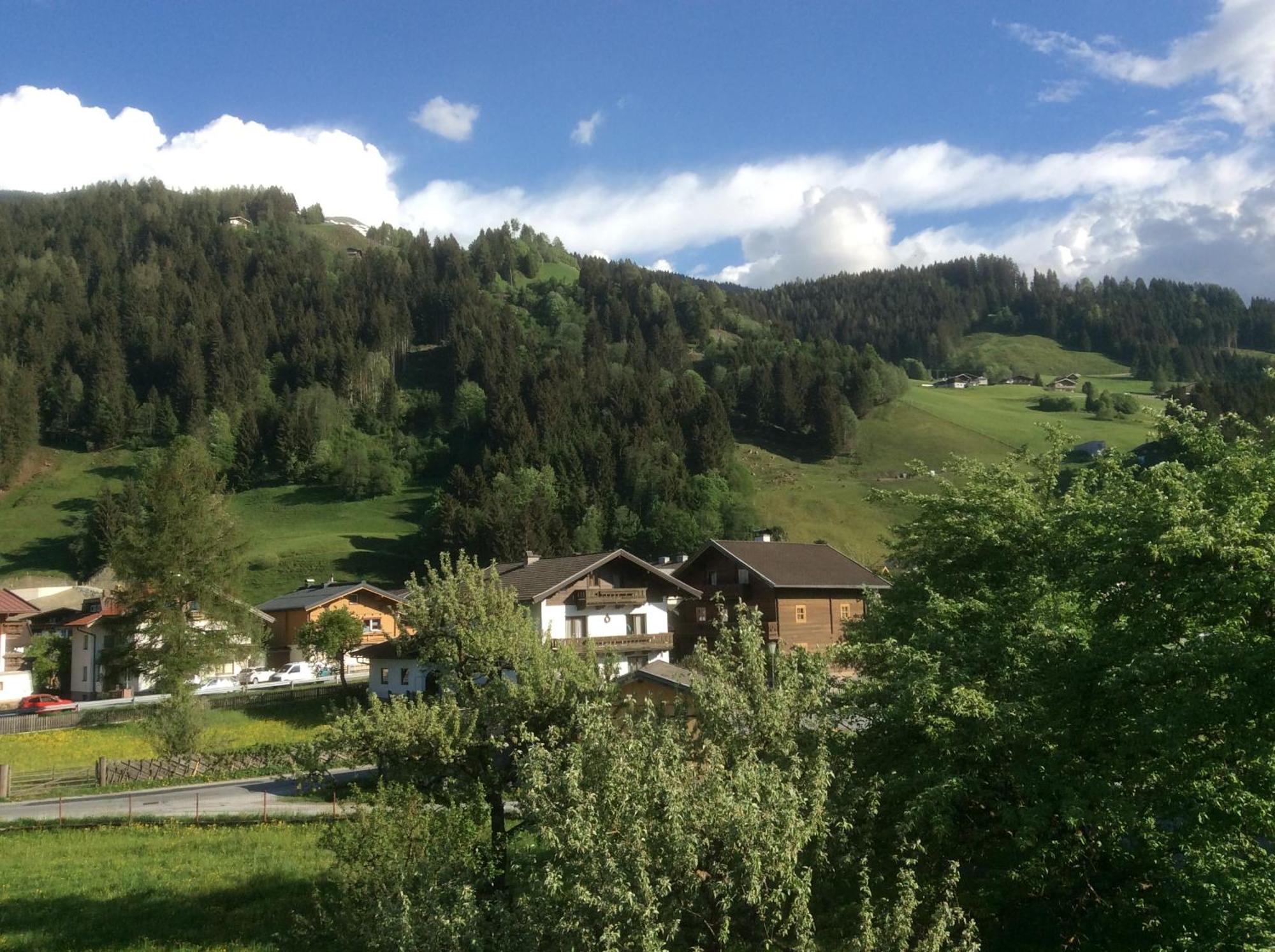 Kitzbuheler Alpen Penthouse Hollersbach Appartement Hollersbach im Pinzgau Buitenkant foto